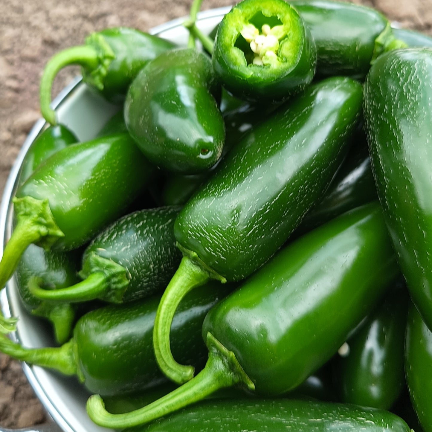 Перець халапеньйо свіжий