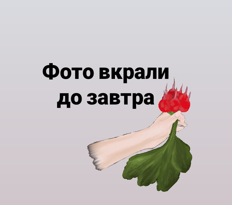 Редиска свіжа